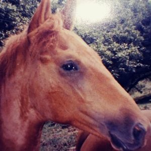 Meet your Posher, Mrstony